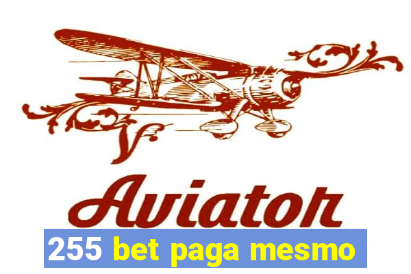 255 bet paga mesmo